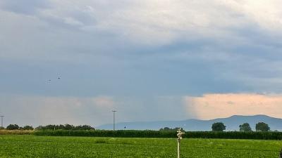 Es regnet bei Meckenheim am 7. Juli 17